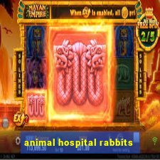 animal hospital rabbits